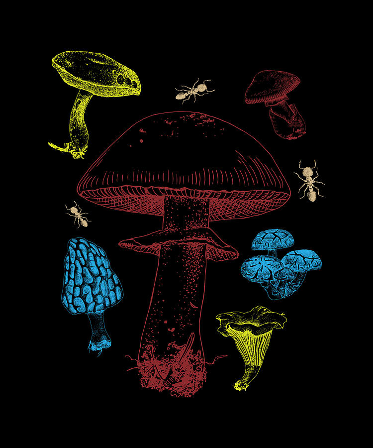 Types Of Mushrooms Mushroom Collecting Digital Art by Moon Tees - Fine ...