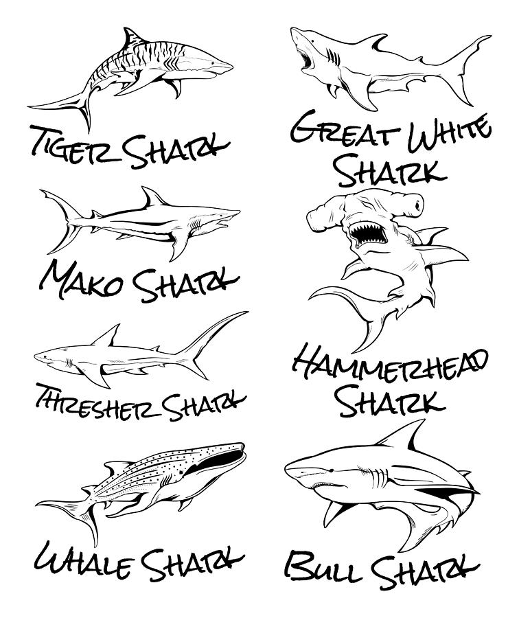 Types of Sharks Cool Shark Digital Art by Kevin Garbes - Fine Art