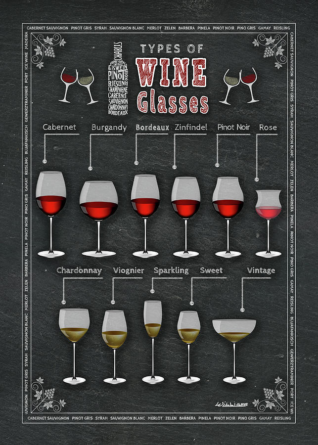 different wine glass chart