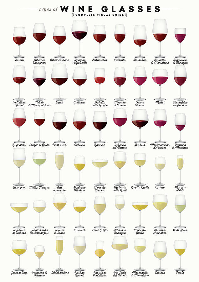 Types of Wine Glasses Digital Art by Zapista OU | Pixels