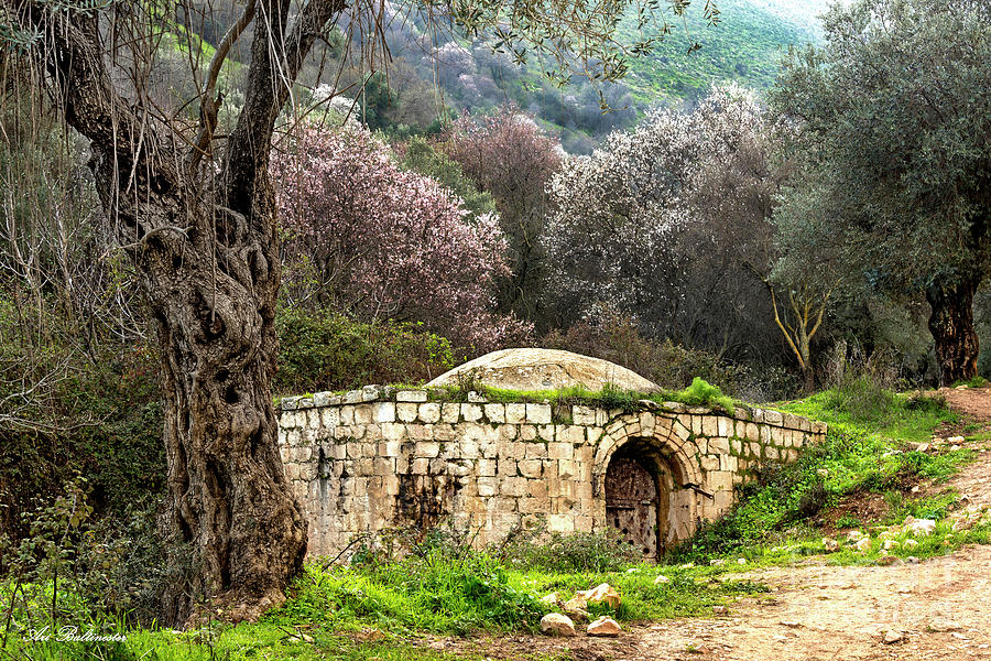 Typical Galilee  landscape Photograph by Arik Baltinester