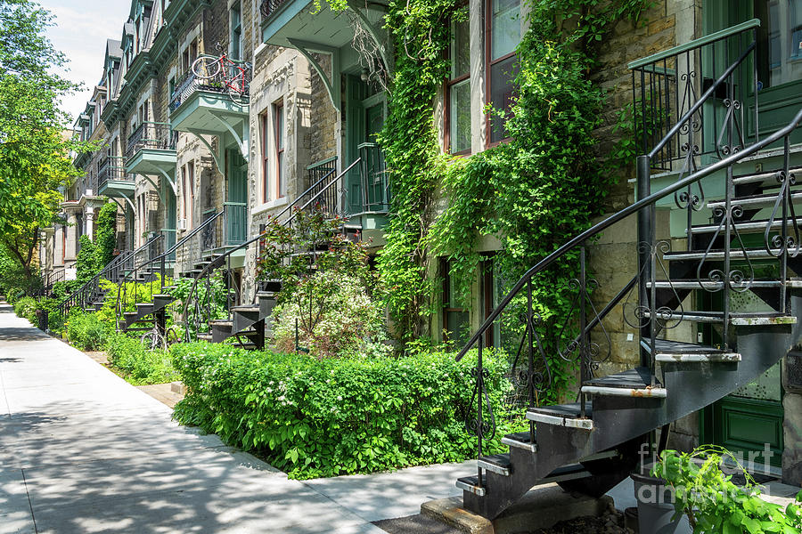 Typical houses in Montreal, Quebec Photograph by Delphimages Photo Creations