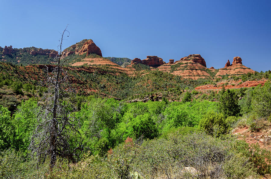 Typical Mesas in the US Southwest Photograph by Calado Art - Fine Art ...