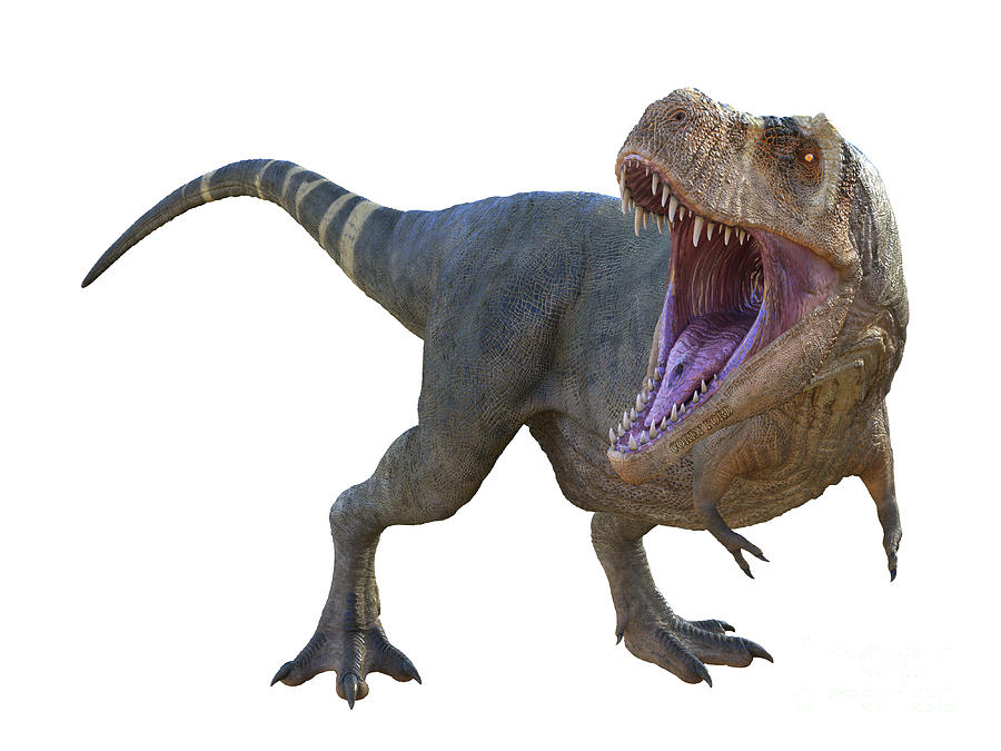Tyrannosaurus Dinosaur Roaring Digital Art by Corey Ford
