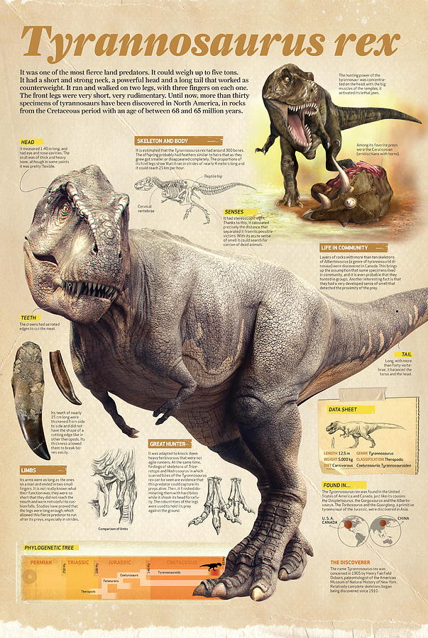 Tyrannosaurus rex Digital Art by Album