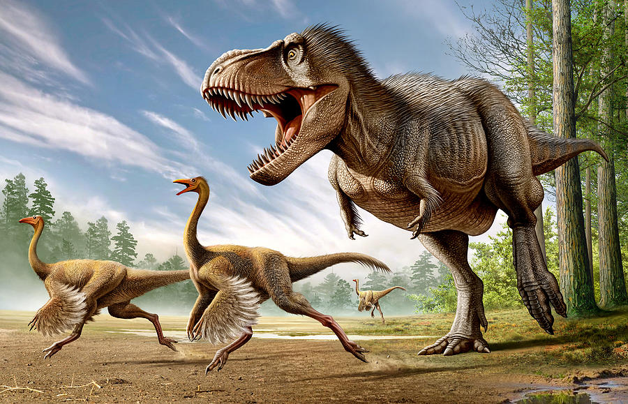 Tyrannosaurus Rex attacking two Struthiomimus dinosaurs. Drawing by Mohamad Haghani/Stocktrek Images