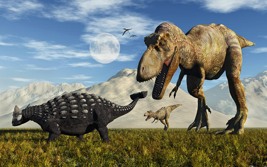 Tyrannosaurus Rex dinosaurs confronting a lone Ankylosaurus. Drawing by Mark Stevenson/Stocktrek Images