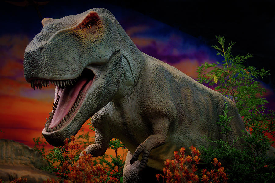 Dinosaur Photograph - Tyrannosaurus Rex Fantasy by Garry Gay