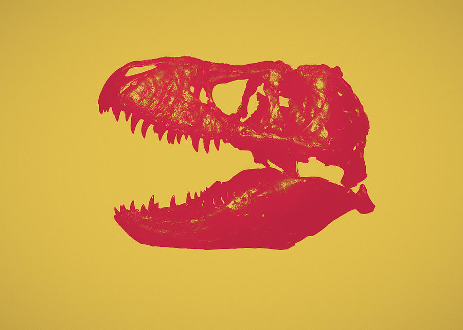 Tyrannosaurus Skull Minimal Painting by Dan Sproul