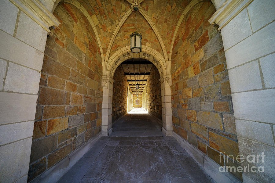 U Of M Law Quad Hallway 1 Photograph