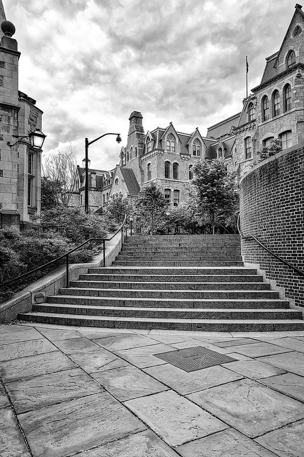 U-Penn Quadrangle Stairway BW Photograph by Susan Candelario