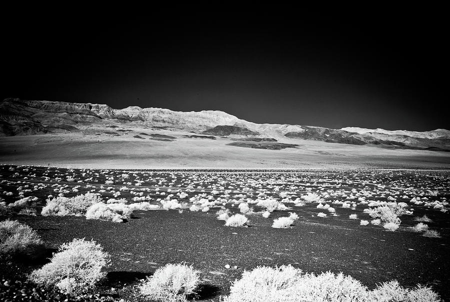 Ubehebe Crater, Death Valley Photograph by Eugene Nikiforov