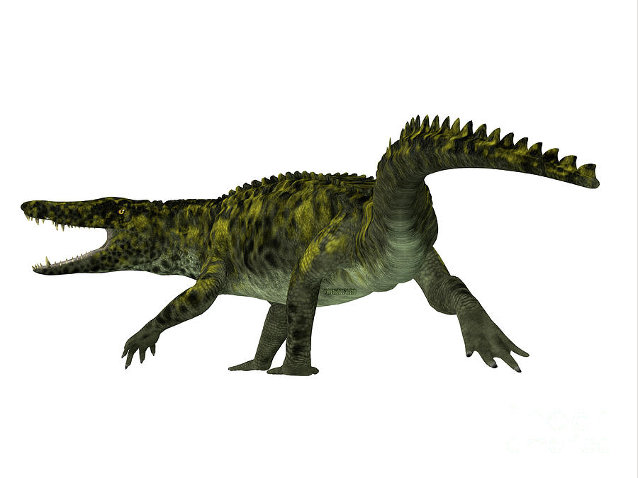 Uberabasuchus Reptile Tail Digital Art by Corey Ford