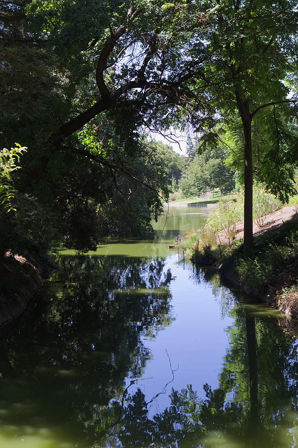 UC Davis Arboretum Photograph by Dan Twomey