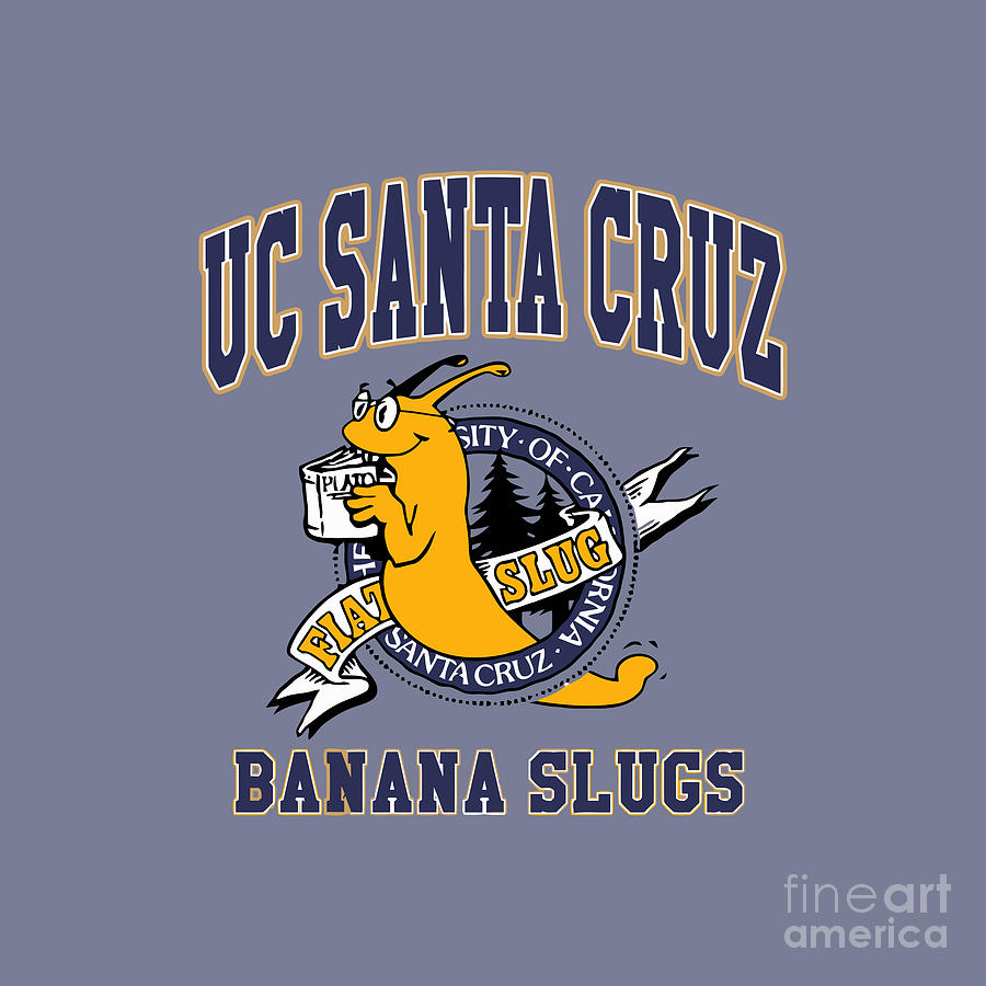 Uc Santa Cruz Banana Slugs Drawing by Betania Agustina Fine Art