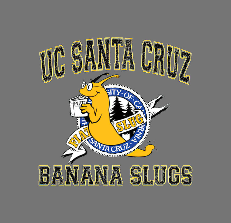 Uc Volleyball Banana Slug Meme Mascot 1 Painting by Frank James