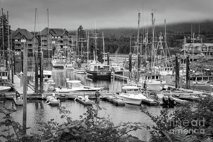 Ucluelet harbor, Vancouver island Photograph by Delphimages Photo Creations
