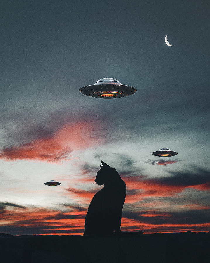 Sunset Digital Art - UFO Invasion  by Avik Paul