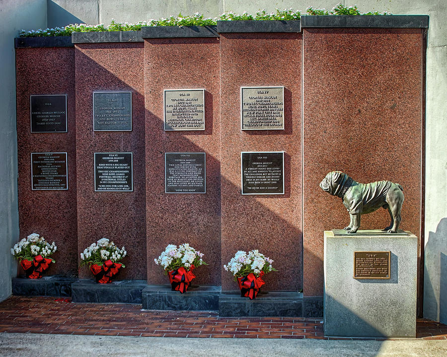 UGA Dog mausoleum at Sanford Stadium Photograph by Joe Myeress