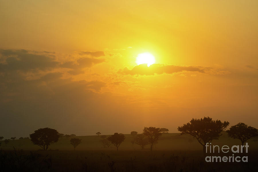 Ugandan Sunset Photograph