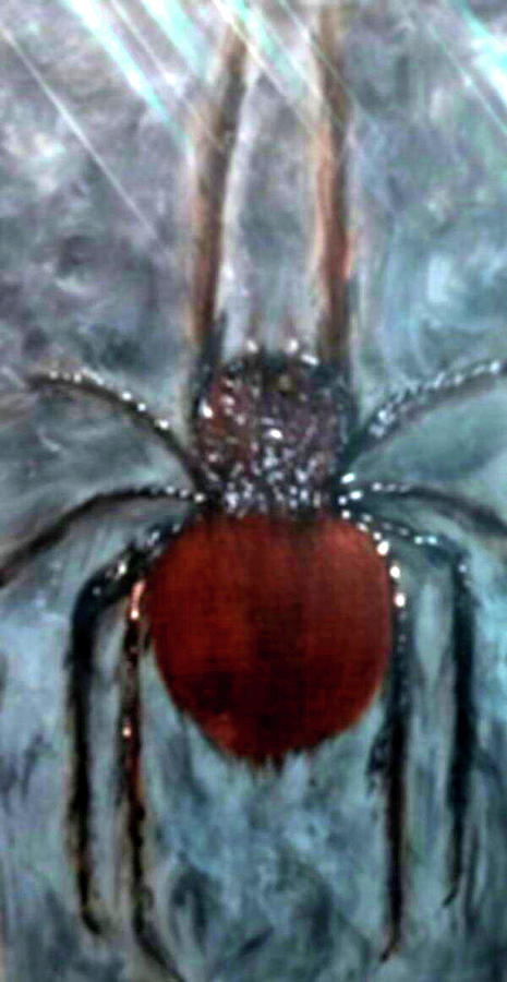 Ugly Spider Painting by Anna Adams