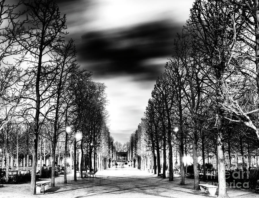 Tree Photograph - Tuileries Garden at Night in Paris by John Rizzuto