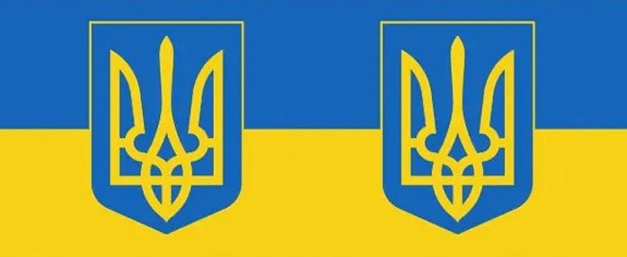 Ukraine Flag Digital Art by Edward Pearce