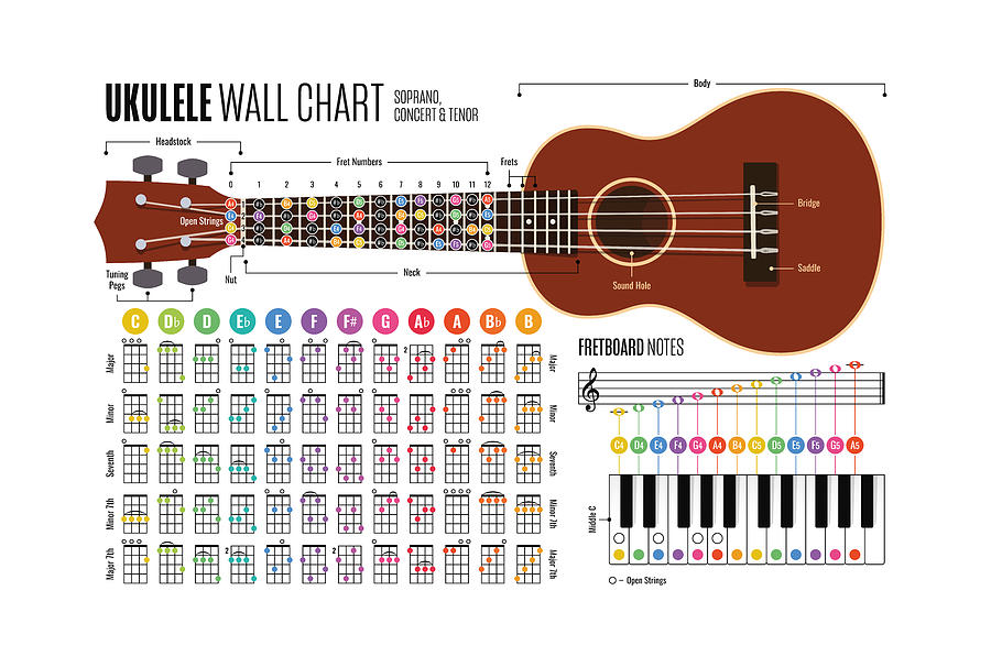 Ukulele Wall Chart Soprano, Concert and Tenor Digital Art by Penny And Horse Pixels