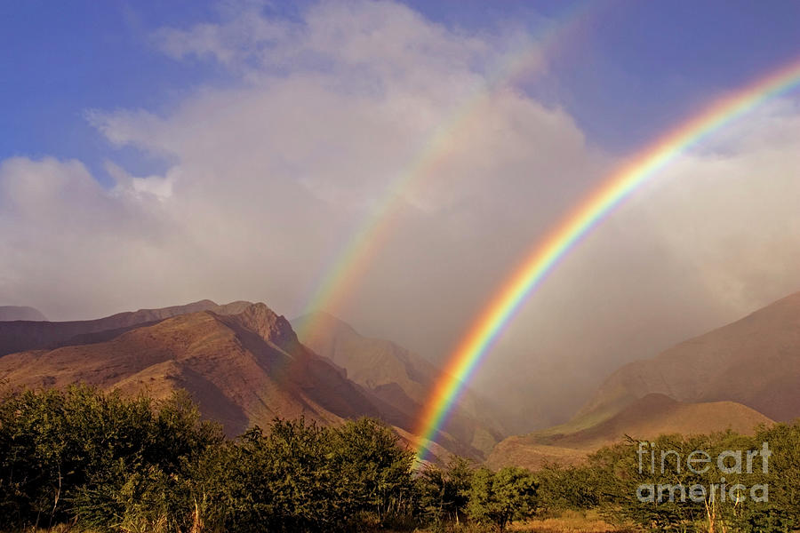 Ukumehame Rainbow Photograph by David Olsen