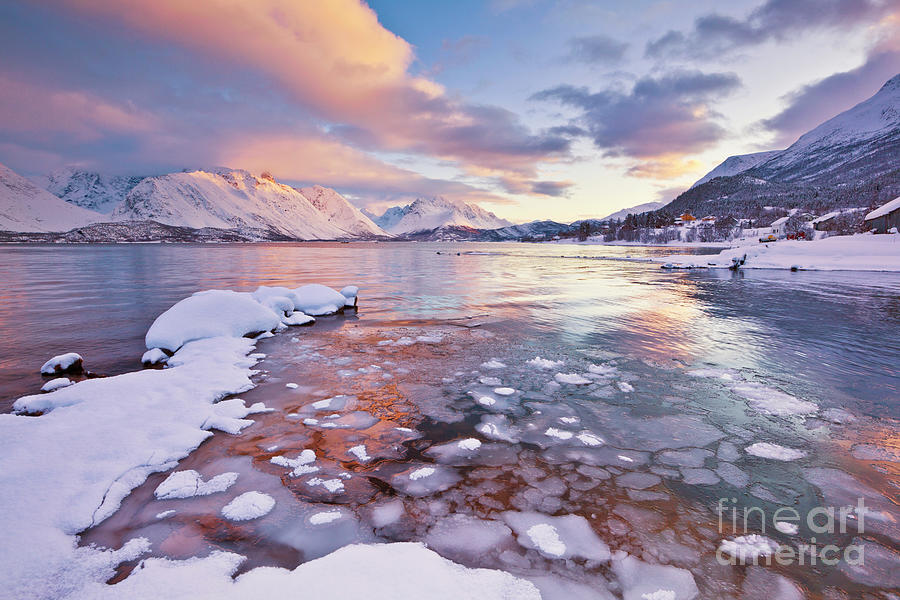 Ullsfjord and the Lyngen Alps at sunset, Troms, Norway Photograph by Neale And Judith Clark