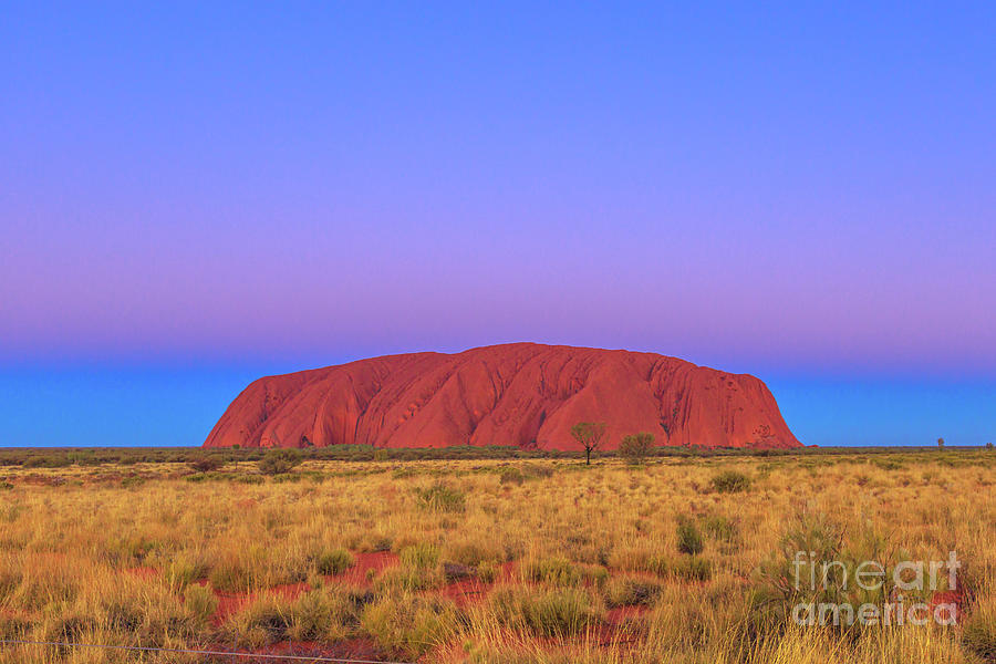 Uluru at blue hour Photograph by Benny Marty