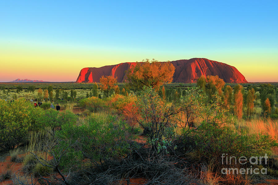 Uluru at dawn Photograph by Benny Marty