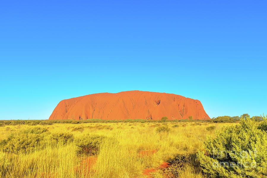 Uluru Ayers Rock Photograph by Benny Marty
