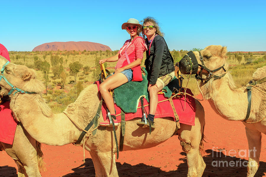 Uluru camel ride Photograph by Benny Marty