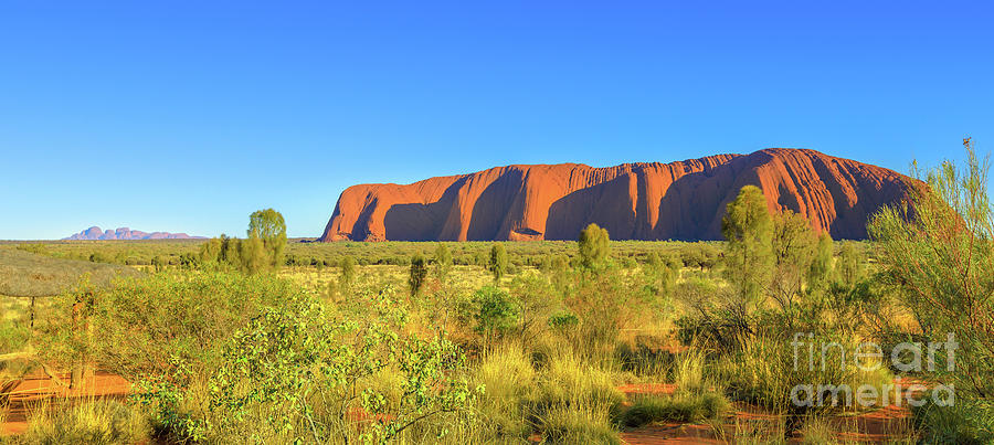 Uluru   Kata Tjuta panorama Photograph by Benny Marty