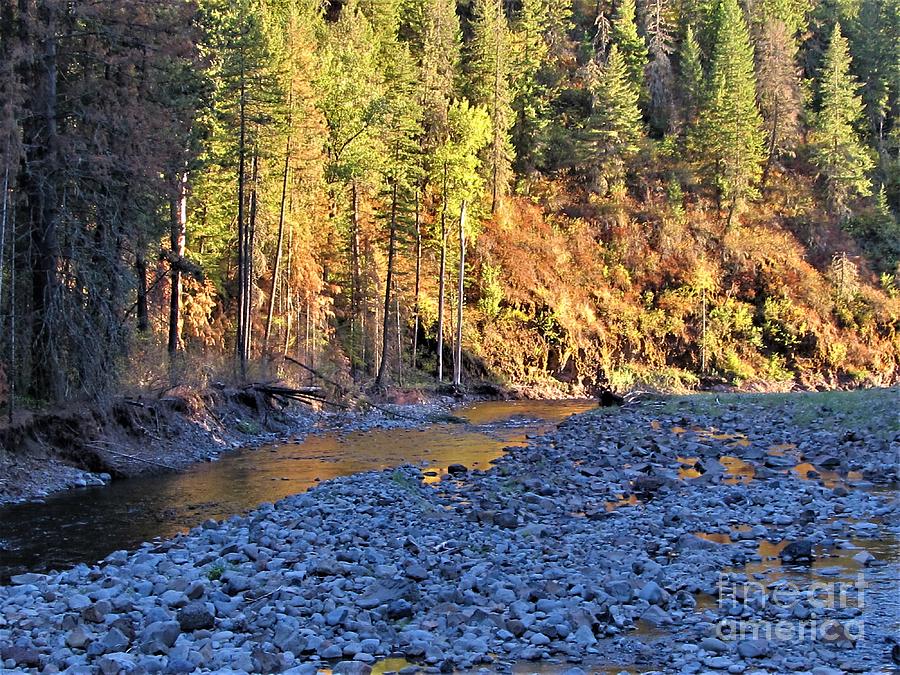 Umatilla River Oregon Photograph by Shylee Charlton