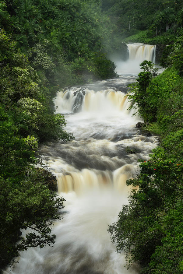 Umauma Falls Photograph