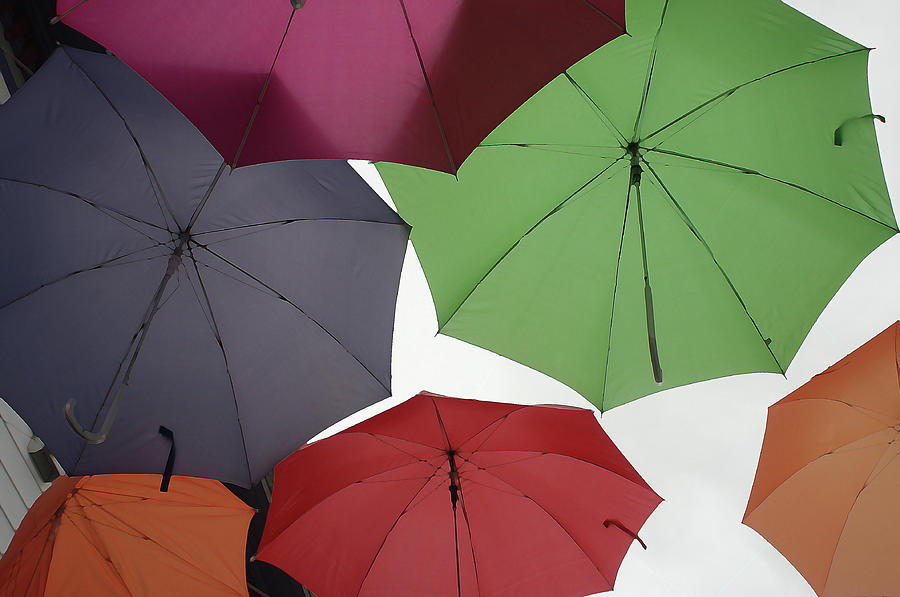 Umbrella Daubs Photograph by Wayne King