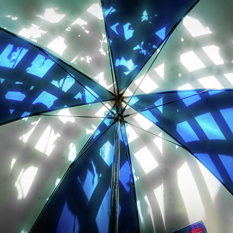 Umbrella Inside Photograph