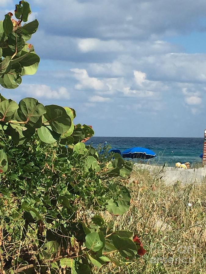 Umbrella on Delray Beach Along the Atlantic  Photograph by Catherine Ludwig Donleycott