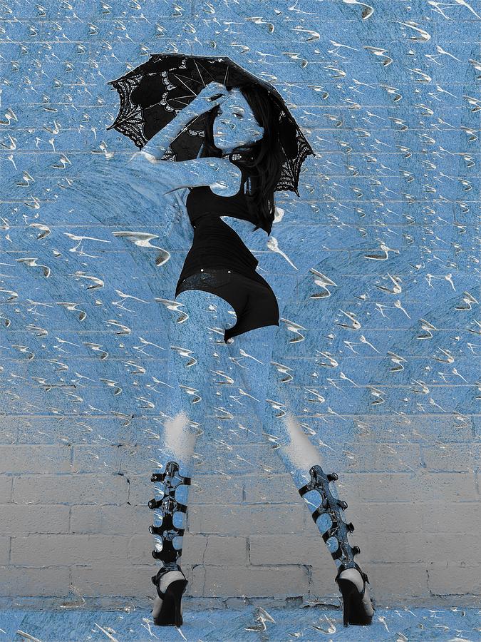 Umbrella Seagull Mixed Media by Stephane Poirier