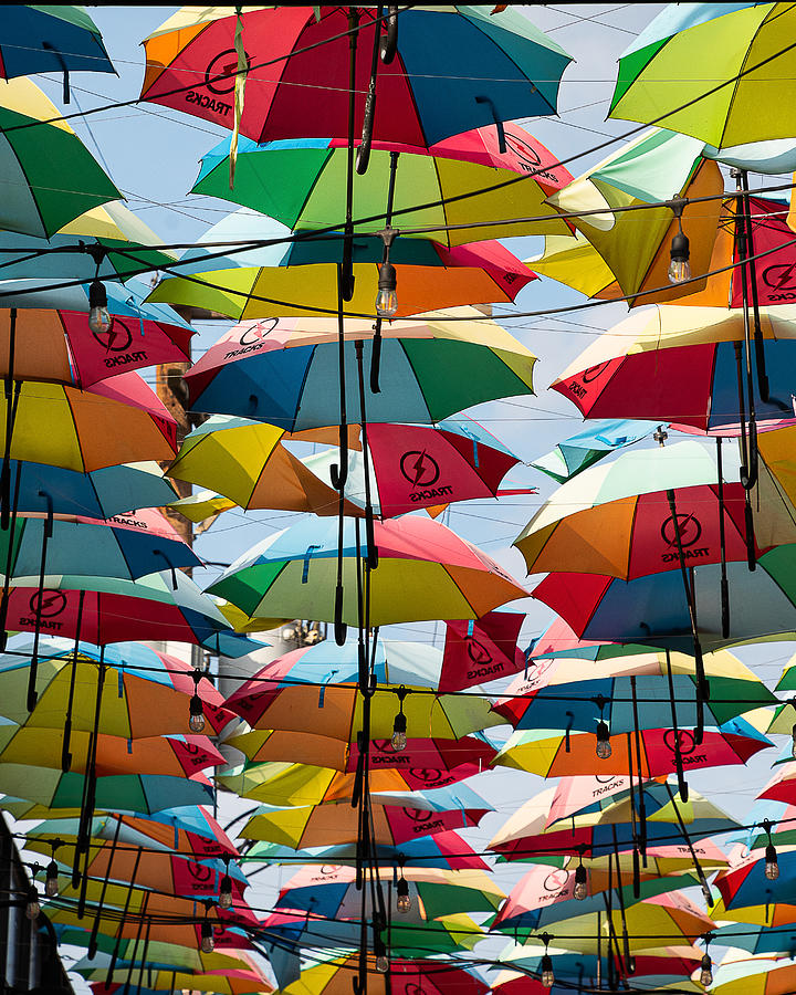 Umbrella Sky Photograph by Steven Tolly