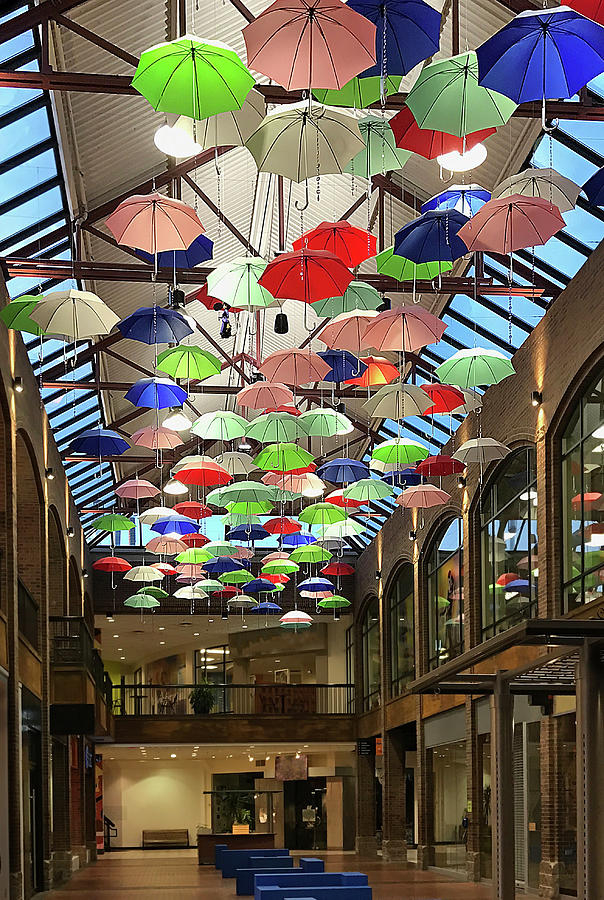 Umbrellas Above Photograph by Patti Deters
