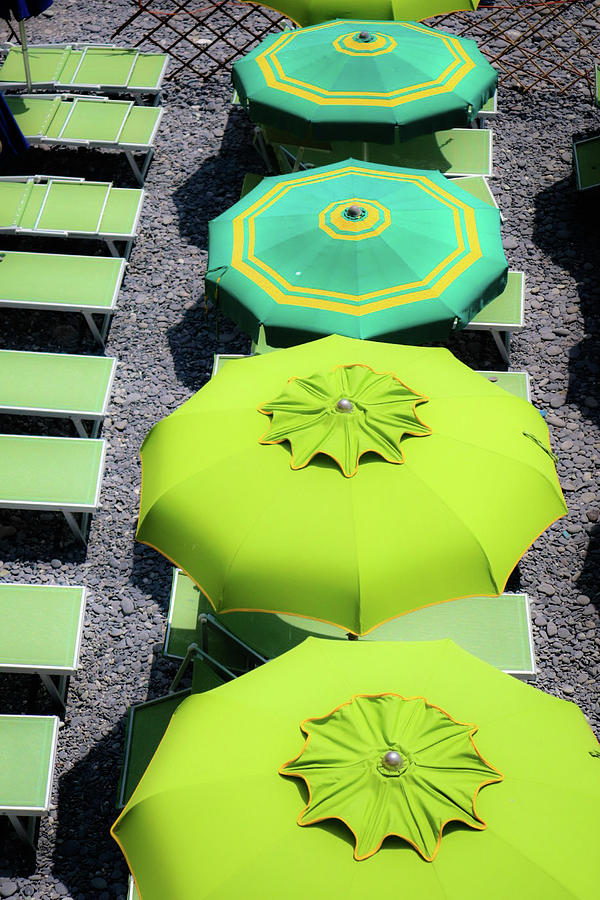 Umbrellas in a Row Photograph by Andrea Whitaker Fine Art America