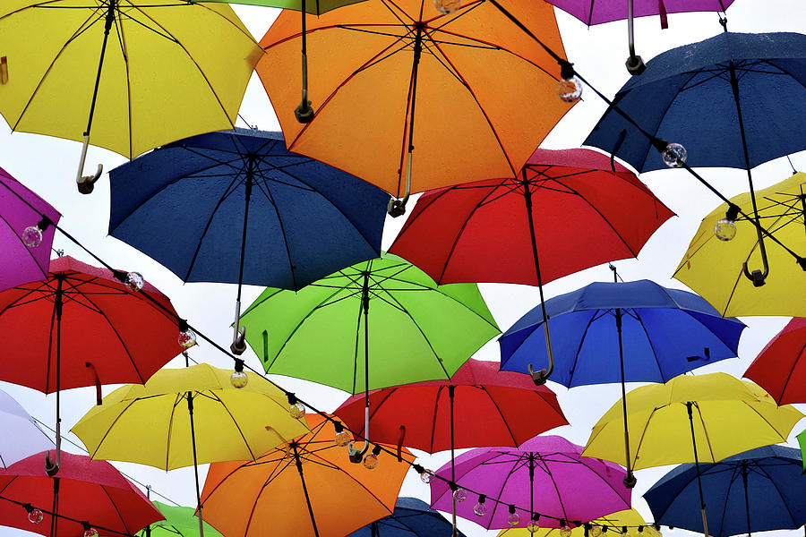 Umbrellas in the Air Photograph by Nadalyn Larsen