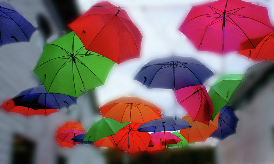 Umbrella Photograph - Umbrellas in the Mist by Wayne King