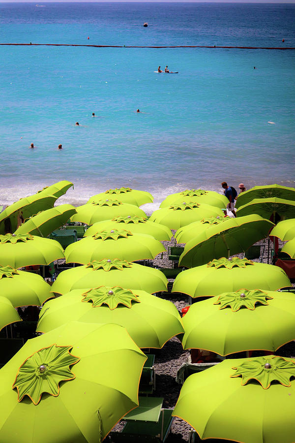 Umbrellas of Green  Photograph by Andrea Whitaker