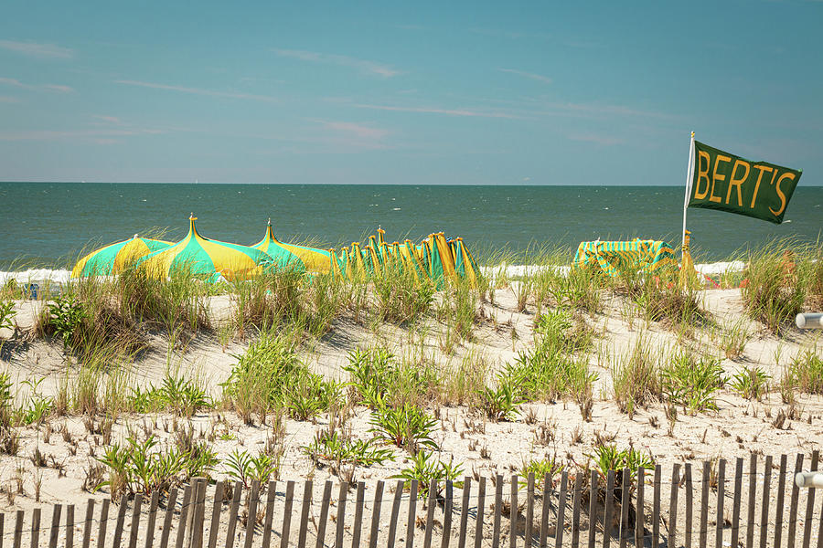Umbrellas On The Beach Photograph by Kristia Adams
