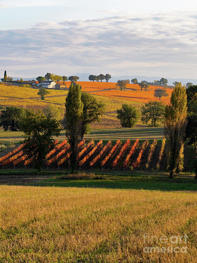 Umbrian Fall Photograph by Christopher Wentworth