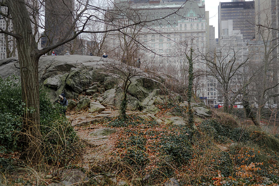 Umpire Rock in New Yorks Central Park Photograph by RC Studio